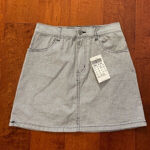Brandy Melville Mini Skirt